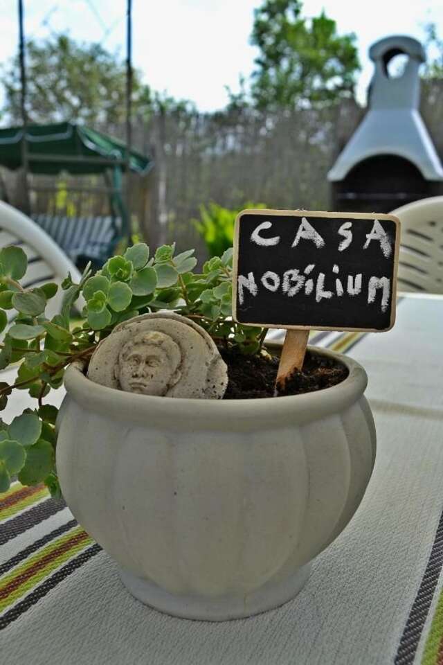 Гостевой дом Casa Nobilium Турда-32